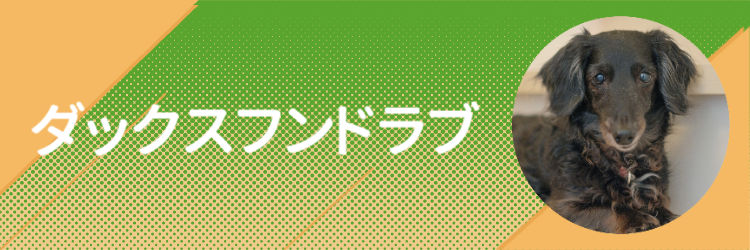 ダックスフンドラブ